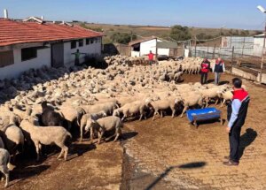 tekirdag tarim ve orman il muduru ciftcileri ziyaret etti rIvZJBXC.jpg